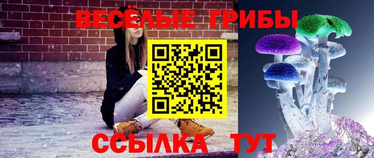 Псилоцибиновые грибы мицелий Кудрово